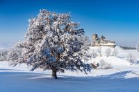 Burgruine Sulzberg_Winter2